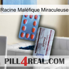 Racine Maléfique Miraculeuse 36